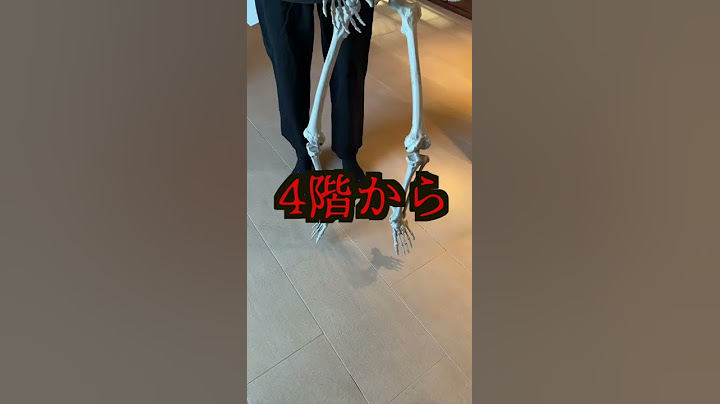 4階からガイコツが背後に静かに迫ってくるドッキリwwwww