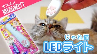 【オススメ商品紹介】猫用LEDライトを買ったら毎日の遊びがこんなに楽しくなるなんて...！【サイベリアン】