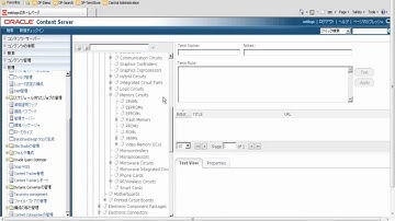 DataFacet for UCM 11g - Japan.screenflow
