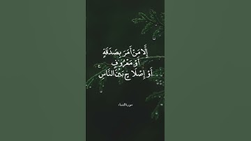 فَسَوْفَ نُؤْتِيهِ أَجْرًا عَظِيمًا || سورة النساء || علي جابر
