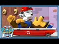 パウ・パトロール公式 | アーサーおうとパウのきし| Nick Jr.