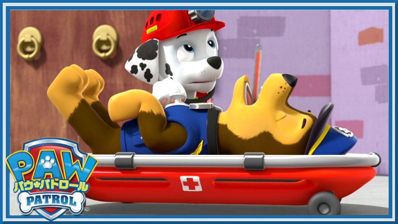 パウパトロール: The Complete Season1&2 全18枚 List of DVDs/Japan | PAW Patrol Wiki | Fandom