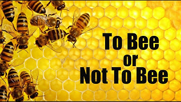 Bee Hives Create Buzz at Public Works