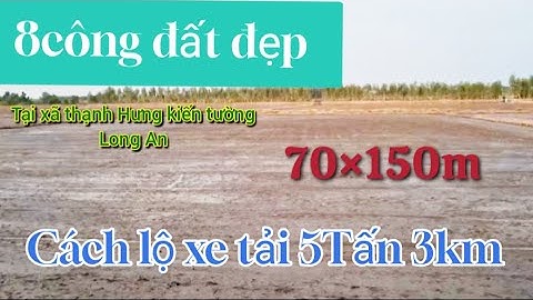 Chào bán gấp 8công đất lúa Giá chỉ 140tr(1000m) Tại xã thạnh Hưng kiến tường Long An #bdslongan