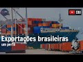 Exportações brasileiras, um perfil (Dani News)