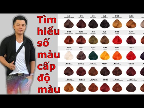 Học Màu Căn bản, Tìm Hiểu Về Số Màu Và cấp độ Màu