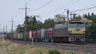 吹田機関区のEF66 32号機、24号機、他(宇都宮線)