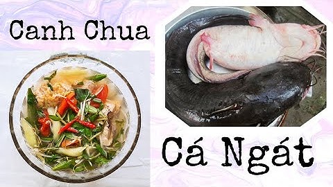 [HE COOK] ♡ CANH CHUA CÁ NGÁT || LẦN ĐẦU THẤY CÁ NGÁT KHỔNG LỒ || VLOG HE DAY