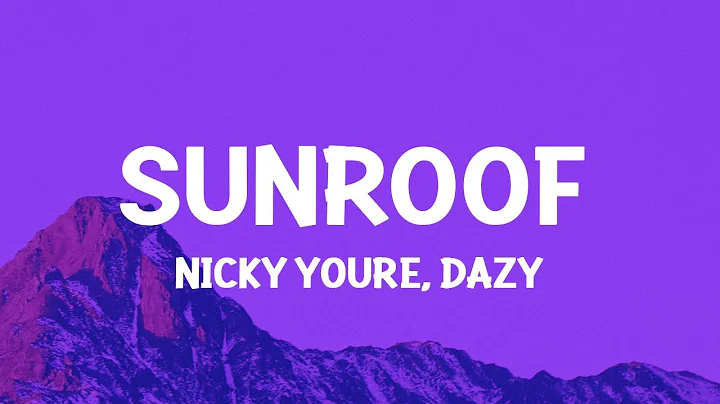 Nicky Youre, dazy - Sunroof (Lyrics) - DayDayNews