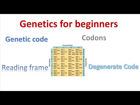 Genetics for beginners| Genetic Code and codons |