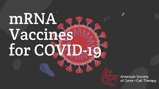 Mrna Vaccines For Covid-19