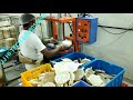 Idiyappam Machine for Commercial - YouTube