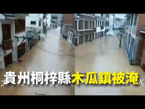 贵州接连暴雨多镇被淹 木瓜镇道路水深4米(图集)