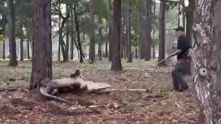 400-pound gator took on group of men in tug-of-war, NC video shows