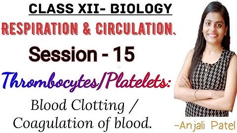 Class XII Biology - Respiration and Circulation : 8.12- Thrombocytes/ Platelets : Blood clotting.