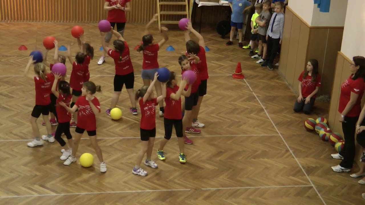 Sokolský ples 12.1. 2019 - Vystoupení volejbal