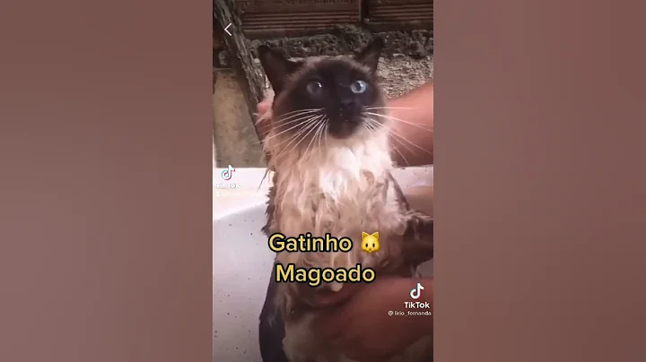 magoo