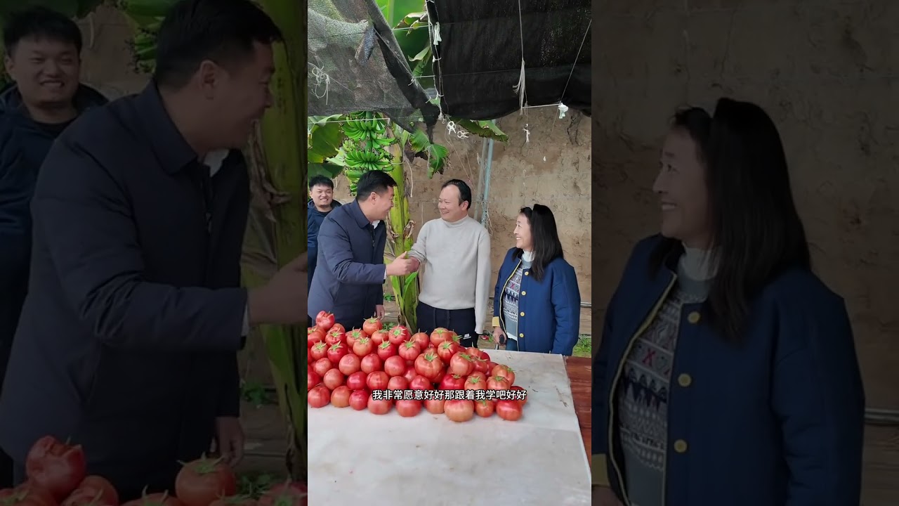 Helping farmers enables us to move forward side by side#The New Farmer Program#Agriculture