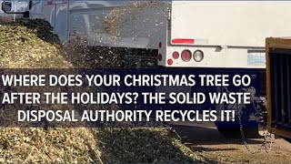 Christmas trees recycled during annual cleanup