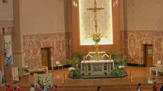 Seventh Tuesday of Easter