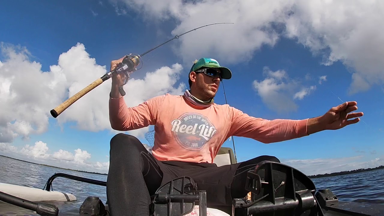 West Lake Snook, Tarpon, Mayan Cichlid, Sea Trout and Jack Crevalle