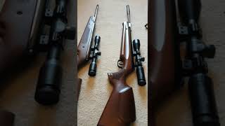 Hawke Quick Mount Scopes On Springer Rifles