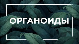 Что такое органоиды | ЕГЭ Биология | Даниил Дарвин Что такое органоиды | ЕГЭ Биология | Даниил Дарвин
