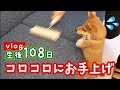 【豆柴】コロコロに困惑!お手上げな犬w | VLOG 【子犬】