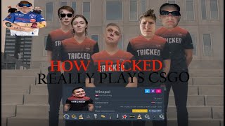How Tricked Really Plays CSGO