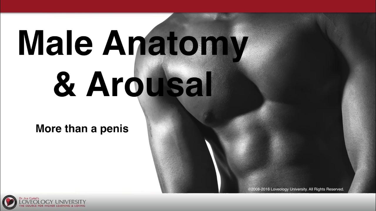 loveology-university-male-anatomy-arousal-course-sneak-preview