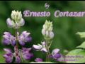 ♥♫ Thanks to life - ERNESTO CORTAZAR♥♫relaxing, soothing piano music)♥♫
