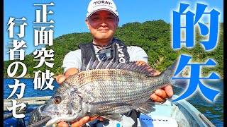 楽しいちぬ釣り 开心钓黑鲷 #34 送火の黒鯛かかり釣り 三重 的矢 Extreme Bream Fishing