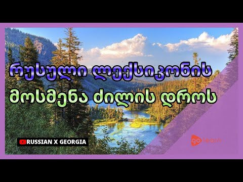 რუსული ლექსიკონის მოსმენა ძილის დროს | Golearn