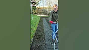 FASTEST Way To Remove Moss!