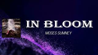 Moses Sumney - In Bloom (Lyrics)