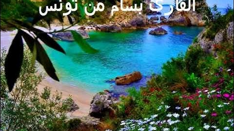القارئ بسام الشيحي