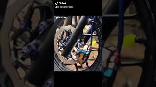 Heo Frando 2 Piss Đối Xứng. Giá 4.100.000 Con