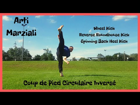 Arti Marziali|Il calcio girato all'indietro|Reverse Roundhouse Kick Tutorial|by Infinite Tutorials