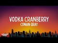 Conan Gray Vodka Cranberry Lyrics 