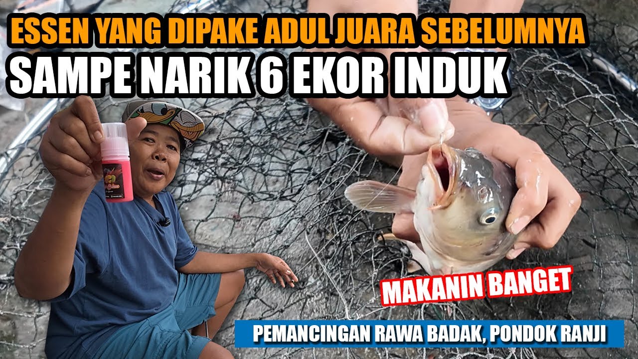 GACOR BANGET TIKET 220 RIBU‼️ ESSEN YANG DI PAKE ADUL SEBELUMNYA, SEKARANG NARIK 6 EKOR INDUK‼️