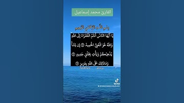 تلاوة خاشعة يا أيها الناس أنتم الفقراء إلى الله والله هو الغني الحميد #ديني #المصحف #العلم #اكسبلور