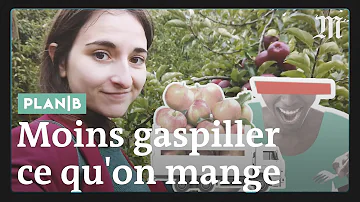 Où jeter la nourriture périmé ? Où jeter la nourriture périmé ?