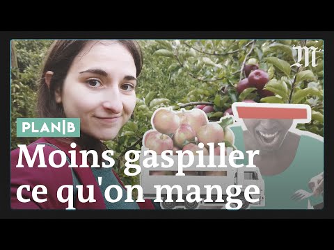 Comment arrêter le gaspillage alimentaire #PlanB