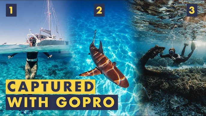 15 astuces sur comment utiliser GoPro sous l'eau
