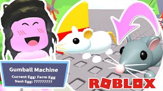 RATS COMING TO ADOPT ME! Adopt Me Leaks! Roblox RATS COMING TO ADOPT ME! Adopt Me Leaks! Roblox