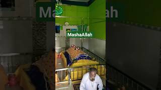 Mashaallah viral trend youtubeshorts shortvideo trendingshorts mazar dargah