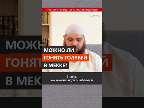 Можно ли гонять голубей в Мекке? || Абу Умар Ас-Сыям
