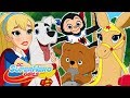 Top 10 des moments d'animaux | DC Super Hero Girls en Français