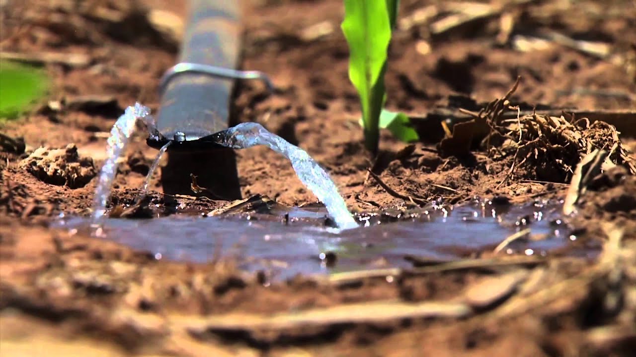 Garden Irrigation Kit: Closing Ends of the Main Line and Drip Tape