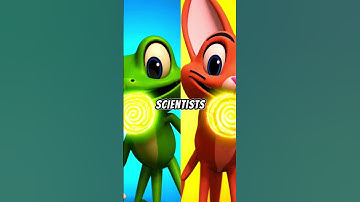 Your Tongue Print is 100% Unique (Stranger Than Fingerprints!)